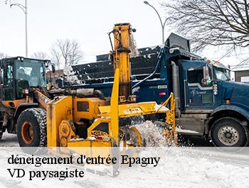 déneigement d'entrée