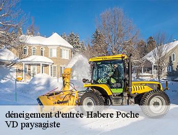 déneigement d'entrée 74420