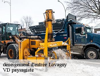 déneigement d'entrée