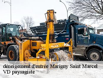 déneigement d'entrée
