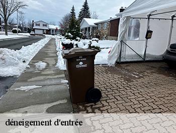 déneigement d'entrée  74370