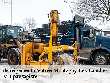 déneigement d'entrée