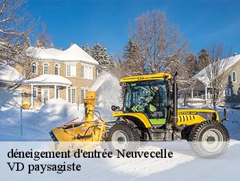 déneigement d'entrée 74500