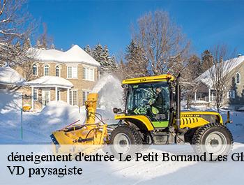 déneigement d'entrée 74130