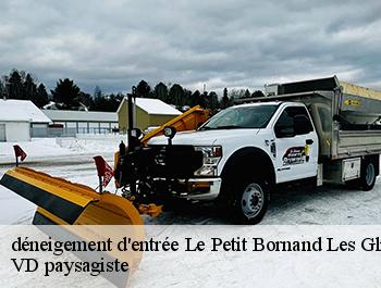 déneigement d'entrée 74130