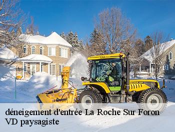 déneigement d'entrée 74800