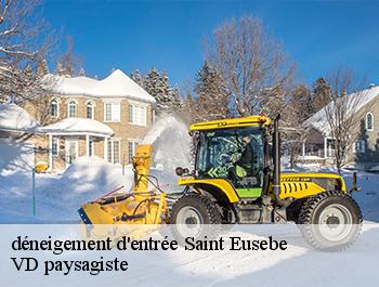 déneigement d'entrée 74150