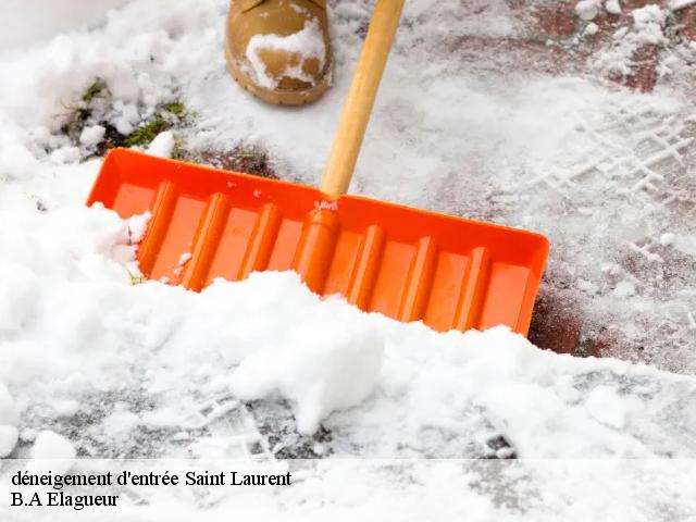 déneigement d'entrée  saint-laurent-74800 B.A Elagueur