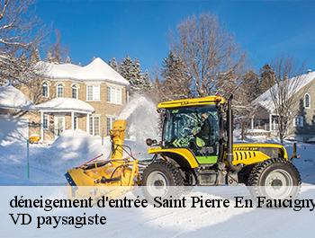 déneigement d'entrée 74800