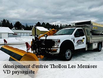 déneigement d'entrée  74500
