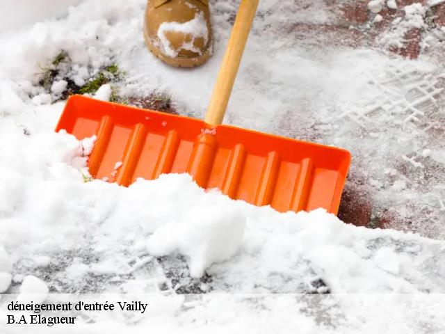 déneigement d'entrée vailly-74470 B.A Elagueur