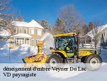 déneigement d'entrée  74290
