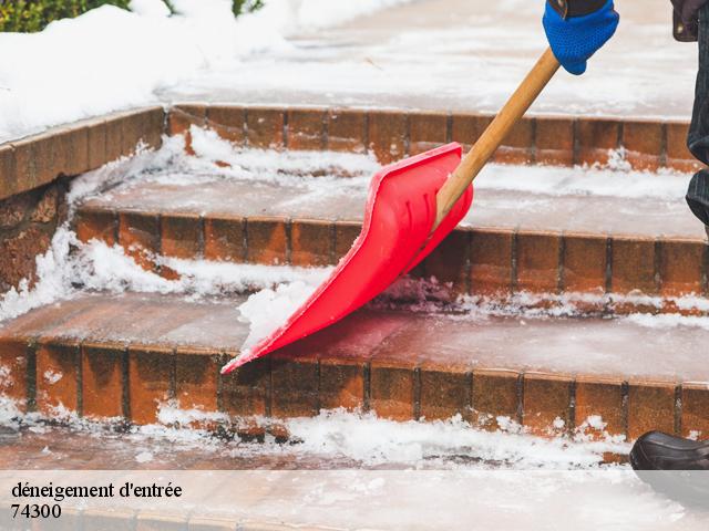 déneigement d'entrée  74300