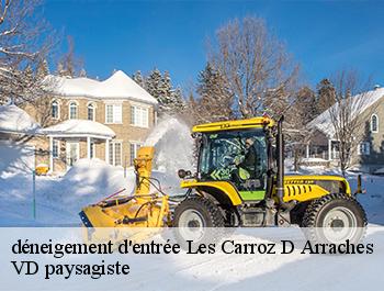 déneigement d'entrée 74300