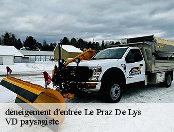 déneigement d'entrée  74440