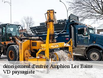 déneigement d'entrée