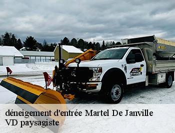 déneigement d'entrée  74480