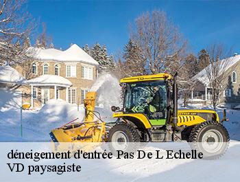 déneigement d'entrée 74100