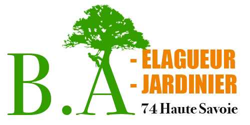 logo-elagage-74-b-a-elagueur